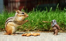 star wars animals chipmunks 1920x1200 wallpaper 